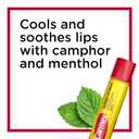 Carmex Classic Medicated Lip Balm Sticks, Lip Moisturizer for Chapped Lips, 9 Count (3 Packs of 3)