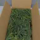 Pre-lit 9ft Christmas Garland with Lights, Real Touch Norfolk Pine Garland for Decoration Christmas, Mantle,Outdoor,Stairs Railing,Wall,Table,IndoorBattery Operated