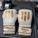 Hawk Sports Boxing Gloves for Men and Women, Comfy Boxing Training Gloves with Foam Padding for Throwing Power Punches with Confidence, Heavy Bag Boxing Gloves for Training and Sparring - White, 16 oz