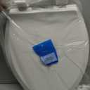 American Standard 5503A00B.020 Transitional Elongated Toilet Seat Soft Close, White