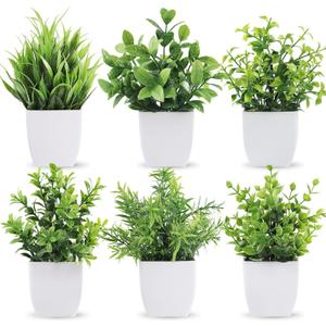 Der Rose 6 Pack Small Fake Plants Artificial Plants in Pots for Home Bthroom Bedroom Living Room Decor IndoorGreen