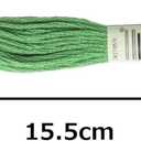 DMC 6-Strand Embroidery Cotton Floss, Light Christmas Green
