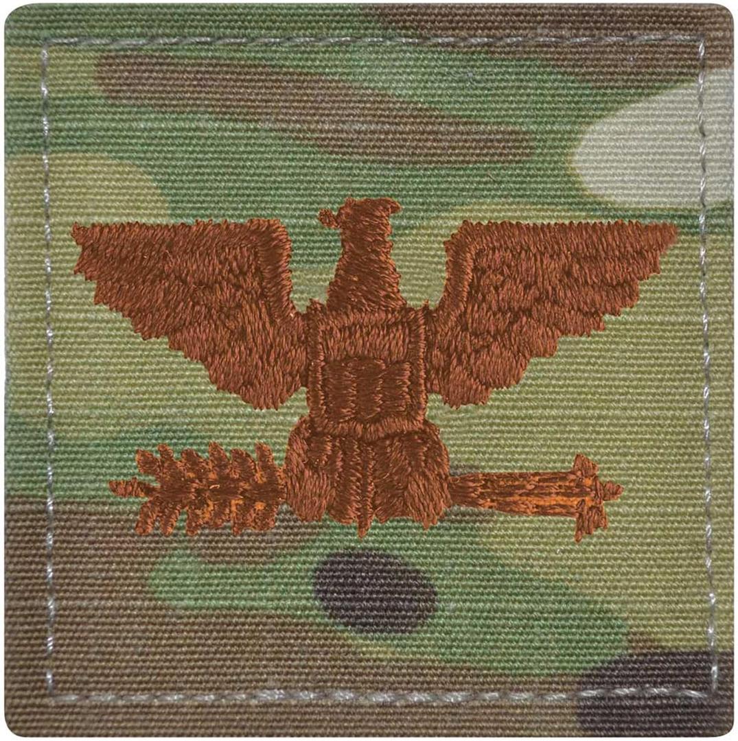 Air Force Colonel Rank OCP with Hook and Loop