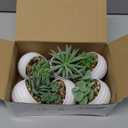 Der Rose Set of 6 Succulents Plants Artificial in Pots Small Fake Plants for Bedroom Aesthetic Living Room Shelf Bathroom Decor Office Desk Accessories (Green)
