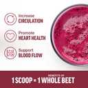 Force Factor Total Beets Organic Beetroot Powder Superfood to Boost Daily Nutrition, USDA Organic, Vegan, Gluten-Free, and Non-GMO Beet Supplement, Unflavored, 90 Servings (EXP 05/31/27)