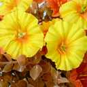 2 x Fake Fall Flowers Faux Artificial Fall Flowers for Outdoors Planters for Autumn Thanksgiving Decor (4, Fall)