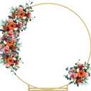 6.6FT Round Backdrop Stand, Wedding Metal Circle Balloon Arch Kit Frame Flower Ring Stand for Wedding Birthday Party Ceremony Anniversary Graduation Backdrop Decoration, Gold (6.6FT Gold)