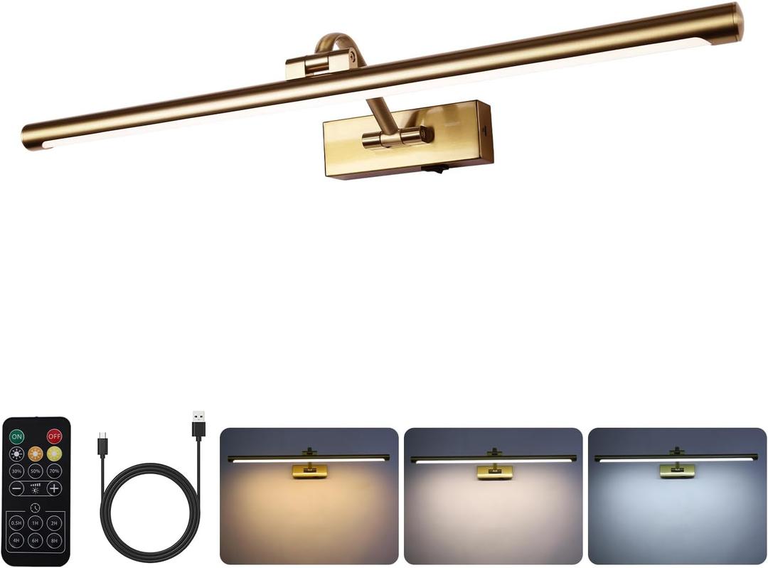 5W LED Wireless Picture Lights with Remote and Timer 23.6 Inch Rechargeable Brass Gallery Lighting Battery Operated Art Lights Over Frame Portrait, 24 Inch