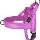 Didog No Pull Dog Harness with Soft Mesh Padded,Reflective & Quick Fit Light Weight Dog Strap Vest Harness,Easy for Walking Training (XS:Chest 15-18", Purple)