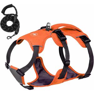 No-Pull Dog Harness, Reflective Waterproof Harness with Easy Control Handle for Safe Walking, Adjustable Dog Vest Harness for Large Medium Small Dog, Breathable Pet Harness with Leash Set (Orange)