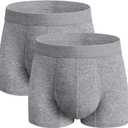 Washable Incontinence Underwear for Men, 2.3 oz Absorbent Leak Proof Odor Control Briefs with Covered Waistband (Gray, L)