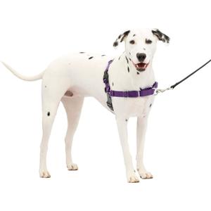 PetSafe Easy Walk Harness for Dogs - Pull-Free Walks - Patented Martingale Loop Design - Front Chest Leash Attachment - Comfort Straps - Breathable Harness Design - Medium/Large, Deep Purple/Black