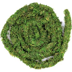Galpagos (05266) MossVine, Real Moss Vine, 12FT, Green
