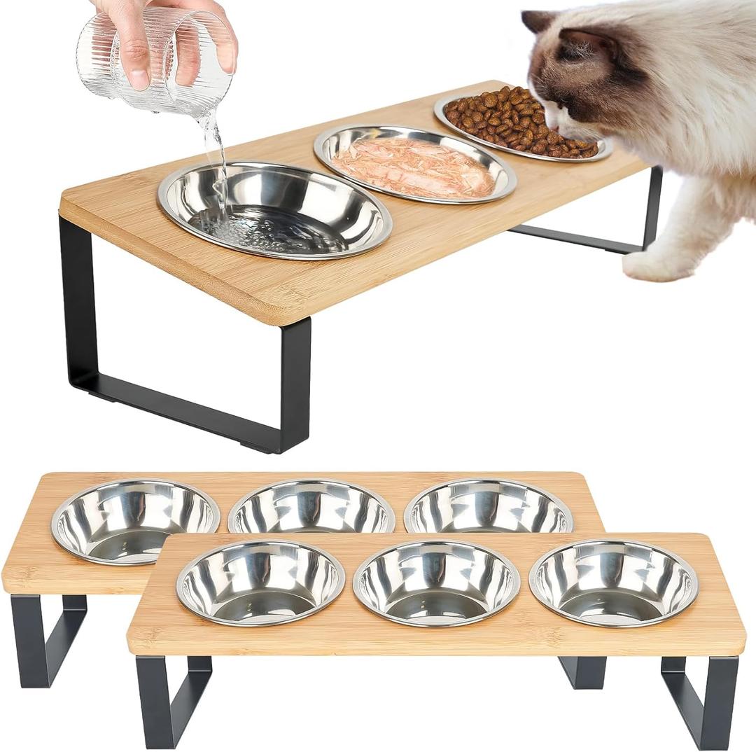 2 Set Elevated Cat Food Water Bowls, 6 Stainless Steel Bowls, 15 Tilted Raised Cat Bowl Set, for Indoor Cats for Small Cats and Puppies Pet Bowls with Stand