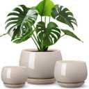 vancasso 3-Pack Ceramic Plant Pots, 3.7/4.8/6.2 Inch Indoor Planters with Saucers & Drainage Hole Planter pots for Indoor Plants and Flower, Gray