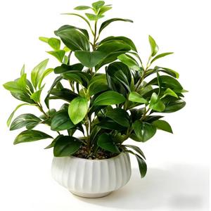 Artificial Peperomia Plant 16.5 Tall Lifelike Faux Greenery in 6 White Ribbed Ceramic Pot Realistic Indoor Fake Branches for Home Office Desk Shelf Bathroom Bedroom Farmhouse Decor