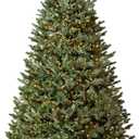 Balsam Hill BH Fraser Fir - Full Christmas Tree with Most Realistic True Needle Foliage, Easy Plug Technology & Multiple Height and Lighting Options, Clear Incandescent, 6.5ft