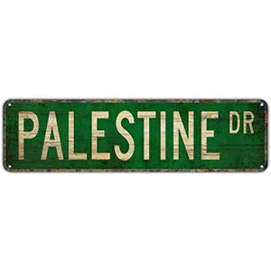 Metal Tin Sign PALESTINE DR Funny Vintage Sign Retro Metal Signs for Bedroom Kitchen Garden Wall Bar Club Coffee Home Decor 6x16 Inch