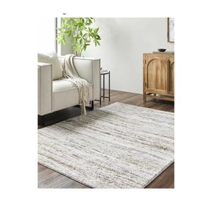 Living Room, Bedroom Area Rug - Farmhouse - High Pile - 2' x 2'11"