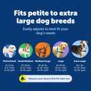 PetSafe Easy Walk Harness for Dogs - Pull-Free Walks - Patented Martingale Loop Design - Front Chest Leash Attachment - Comfort Straps - Breathable Harness Design - Medium/Large, Charcoal/Black