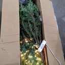 National Tree Company 7.5 ft Pre-Lit Fraser Grande Artificial Christmas Tree, 1,000 Clear Lights, 3,719 Tips, Includes Stand, Green