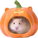 Pumpkin Shaped Ceramic Hamster Hideout - Halloween Small Pet House for Syrian Dwarf Hamsters, Gerbils, Mice, Rats