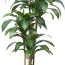 6FT Artificial Dracaena Tree - UV Resistant Faux Tropical Plant, Potted Fake Tree with Taper Planter & Pebbles - Indoor Outdoor Greenery for Home, Porch, Living Room, Bedroom Decor, VN127 (Espresso Brown)
