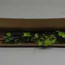 Artificial Ficus Branches 4PCS Artificial Eucalyptus Stems Fake Ficus Branches Faux Plants Greenery Leaves Filler Vase for Home Decor Green Twig Leaf Office Wedding Decoration 35.4" Green