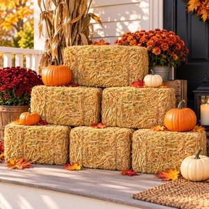 CroBlissful 6 Pack Natural Straw Hay Bales, 13 x 5 x 6 Inches