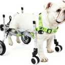 4-Wheel Dog Wheelchair for Back Legs - Switch Between 2 & 4-Wheel Modes, Helps Pets Walk Run and Play Again, Suitable for Small/Medium Pets Under 16.5 lbs (M) HPWC-4WM
