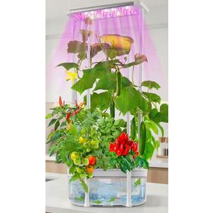 Hydroponics Growing System kit with Trellis,Smart Hydroponic Gardening System with LED Grow Light, Indoor Hydroponic Garden Herb Grow Kit for Short Tomato,Pepper,Cucumber (6200LC)