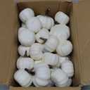 vensovo Mini White Plastic Pumpkins Assorted Sizes - 30pcs Assorted Small Artificial Foam Pumpkins Decor Great for Vase Filler Table Display Thanksgiving Centerpieces and Fall Halloween Decor