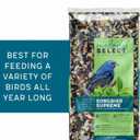 Morning Song 14062 Songbird Supreme Flavor Wild Bird Food, 8 LB 8 Pounds Sell By 08-22-25