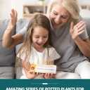 Succulent Bonsai Building Toy, Botanical Collection Plant and Flower Rose, Plant Building Block for Home Decoration, Gift Ideas for Adults Teens Kids (Pack of 6)