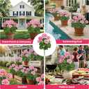 FOREST PRINCE 2 PCS 18" Artificial Geraniums for Outdoors, UV Resistant Pink Silk Flowers for Window Box Porch Patio Decor, Waterproof Two-Tone Soft Pink