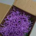 Max Fun 300pcs Halloween Spider Rings for Kids Party Favors 1.96 Plastic Spider Rings Bulk for Kids Costume Accessories Party Decorations Supplier