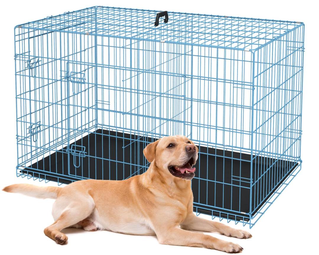 BestPet | Dog Crate | 36" | Blue | Foldable Metal Kennel with Double Doors