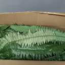 48In Artificial Boston Ferns Bush, Set of 2 Large Faux Ferns Plants, 67 Branches Fake Ferns for Home Living Room Decor, Indoor and Outdoor