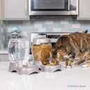 Petmate Pet Cafe Cat and Dog Gravity Water Dispenser - Water Bowl for Cats and Dogs, USA Made, 0.75 GAL, Pearl Gray