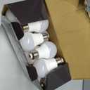A 19 LED BULB