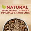 Purina ONE Natural Wet Dog Food Gravy, Tender Cuts in Gravy Beef and Barley Entre - 13 Ounce (Pack of 12)