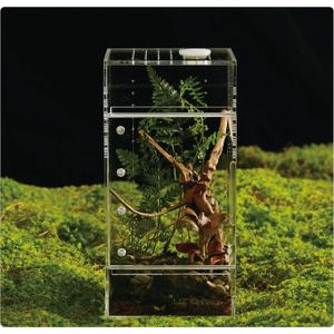 Acrylic Terrarium for Reptiles & Spiders  Small/Medium/Large Leak-Proof Enclosure (Horizontal/Vertical) | Ideal for Tarantulas, Jumping Spiders, Frogs & Geckos (Small, Square Vertical)