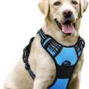 rabbitgoo Dog Harness No Pull with 2 Leash Clips, Adjustable Soft Padded, Reflective Oxford No Choke Pet Vest with Easy Control Handle for Large Dogs, Blue, L