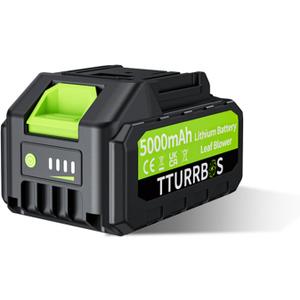 5.0Ah Leaf Blower Battery