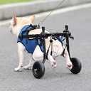 Adjustable Small Dog Wheelchair  Mobility Aid for Disabled Pets,Small Dog Wheelchair for Back Legs， Leg Brace & Hip Support (Small)