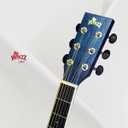 Winzz Acoustic Steel-string Guitar Beginner for Adults Students, Elegant Unique Color Design (vintage blue)