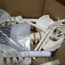 NLShan Human Skeleton Model for Anatomy -Life Size Anatomical Skeleton Medical Model with Nervous System 70.8 in with Rolling Stand for Study and Display Colorful Posters
