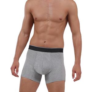 Washable Urinary Incontinence Underwear for Men, 5" Longer Leg Front Absorbent Boxer Brief for Bladder Control (Small, Gray) (Gray, S)