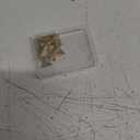 SUNNYCLUE 1 Box 12PCs 3 Styles Real 18K Gold Plated Pendants Brass Triangle Charms Hollow Geometric Charm Dangles for Beginners DIY Earring Necklace Bracelet Jewellery Making Adults