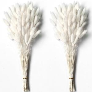 120 PCS White Dried Pampas Grass Decor, 17-inch Pompas Floral, Dry Flowers for Decoration, Pampas Grass in Bulk Tall, White Bunny Tails Dried Flowers for Boho Wedding